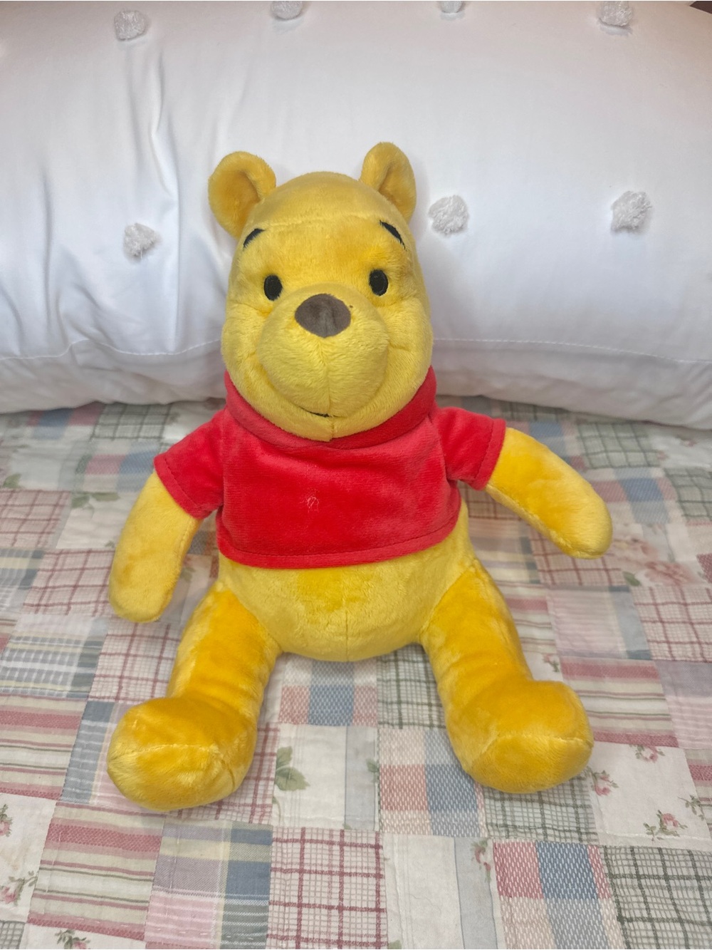 Winnie the Pooh Plush